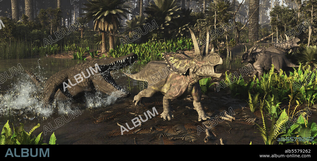 A Deinosuchus alligator attacks a Agujaceratops dinosaur during the Aguja Formation.. A scene from what is now Big Bend Texas in the Aguja Formation. About 77 million years ago this was once home to the ceratopsian, Agujaceratops. A medium ceratopsian at 19-20 feet. This was also home to the largest Alligator to have ever lived, Deinosuchus. Deinosuchus has been estimated at 35-39 feet long and as high as ten tons. Agujaceratops might make for some substantial prey.
