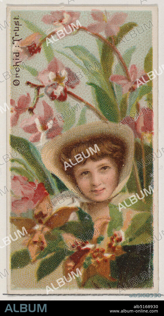 DONALDSON BROTHERS. Orchid: Trust, from the series Floral Beauties and Language of Flowers (N75) for Duke brand cigarettes, 1892.