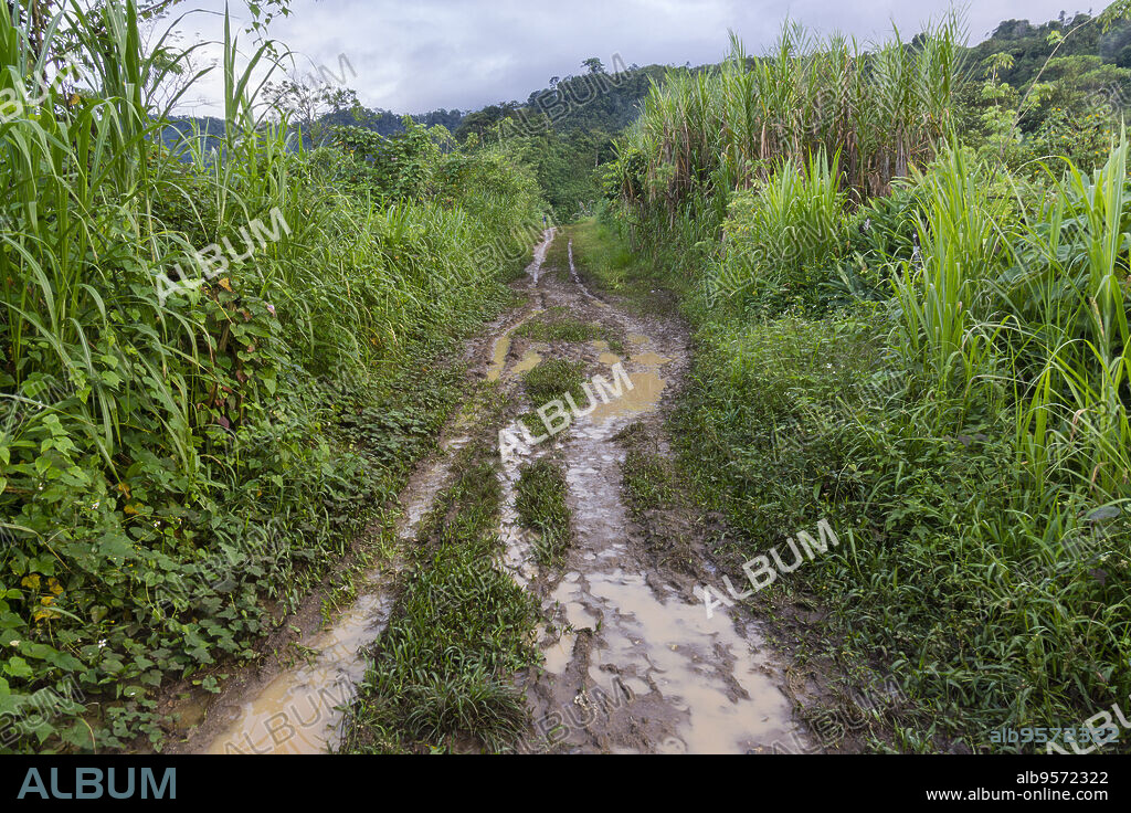 camino cubierto de lodo, Lancetillo, La Parroquia, zona Reyna, Quiche, Guatemala, Central America.