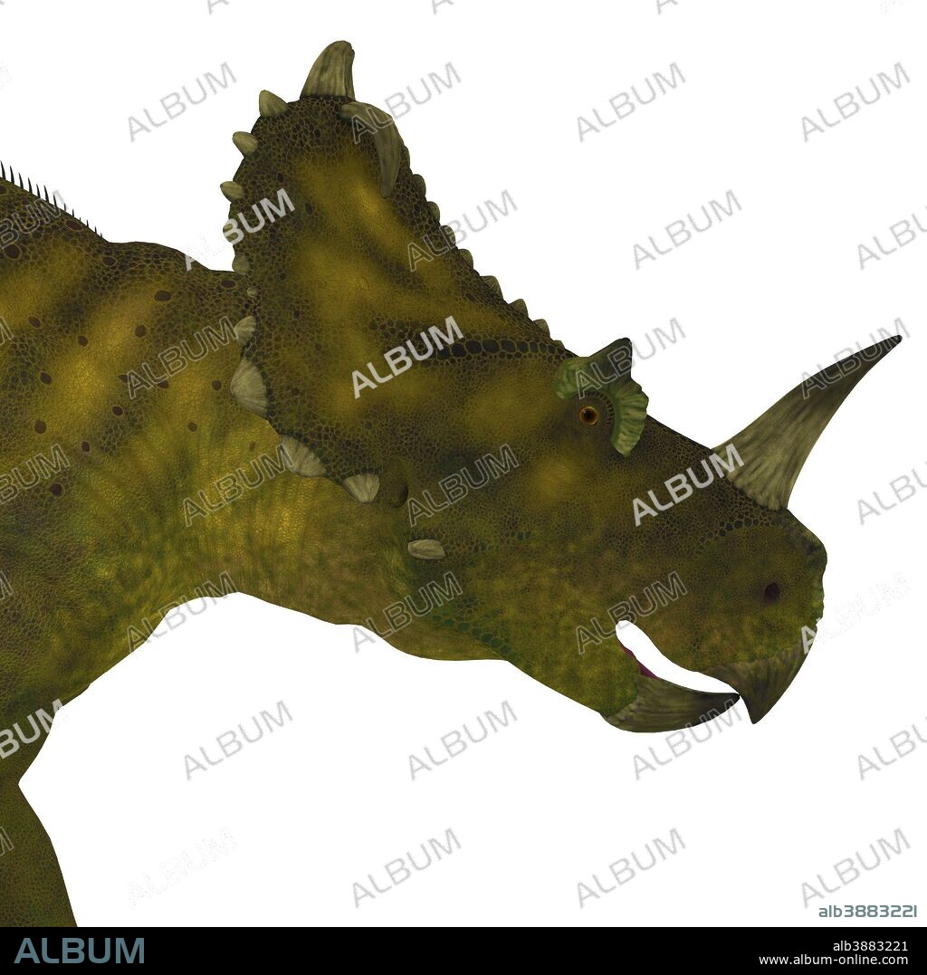 Centrosaurus dinosaur head. Centrosaurus was a herbivorous ceratopsian dinosaur that lived in Canada during the Cretaceous Period.