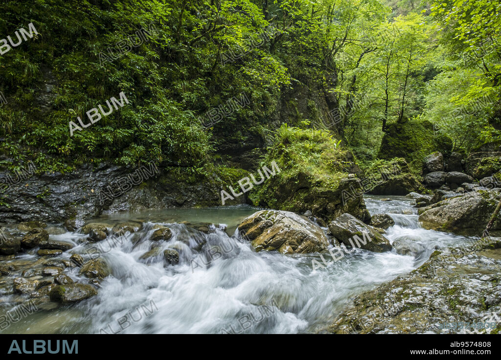 Kakueta Gorge, Sainte-Engrâce, Aquitaine region, Pyrénées-Atlantiques department, France.
