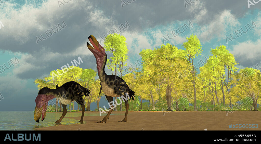 Two Kelenken terror birds come down to a lake to drink in the Miocene Period of Argentina, South America.