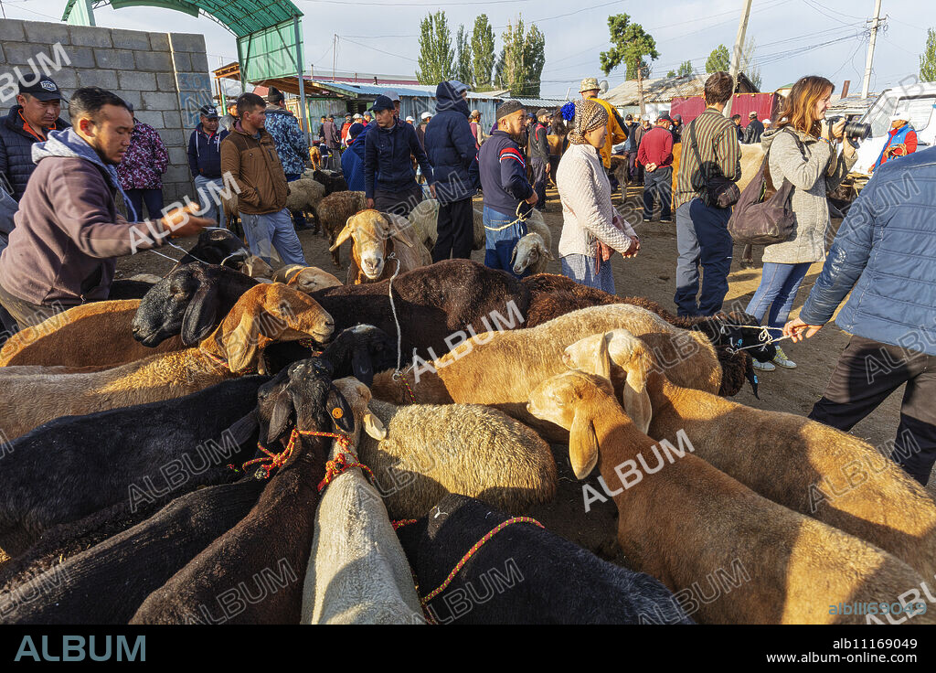 Sunday animal market, Karakol, Kyrgyzstan, Central Asia, Asia.