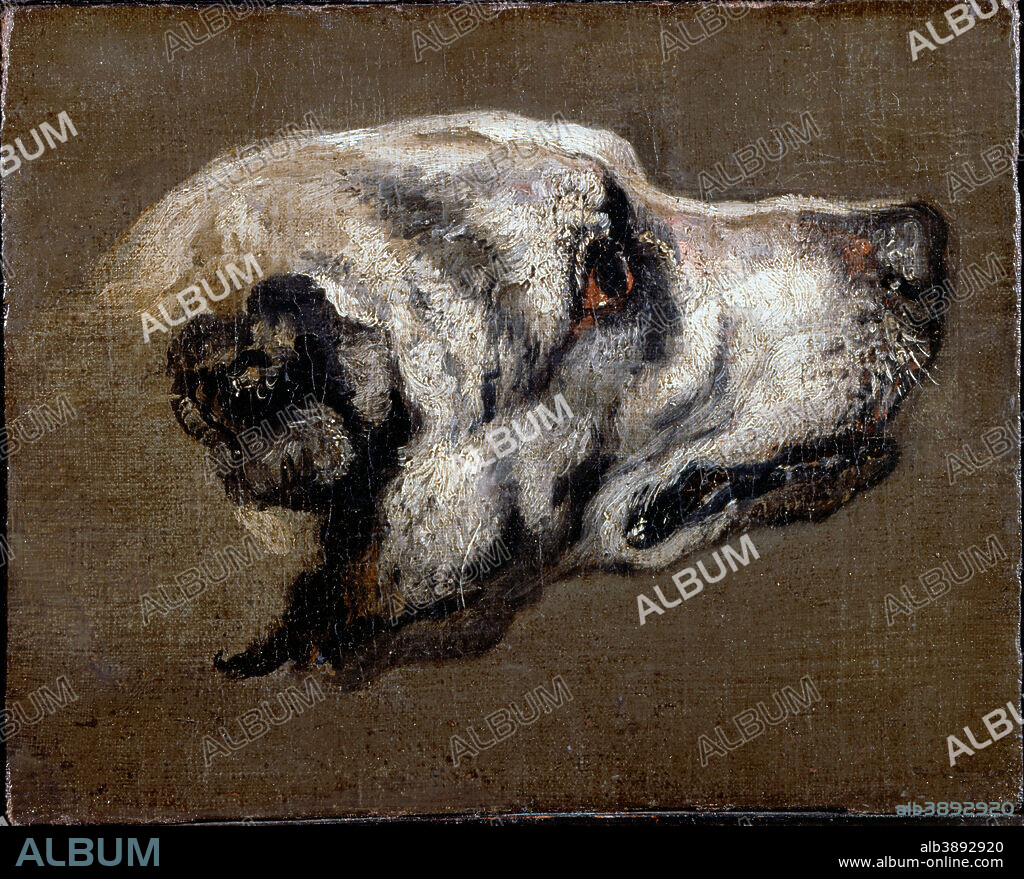 PIETER BOEL. Head of a Hound. Date/Period: Before 1674. Painting. Oil on canvas Oil. Height: 278 mm (10.94 in); Width: 352 mm (13.85 in).