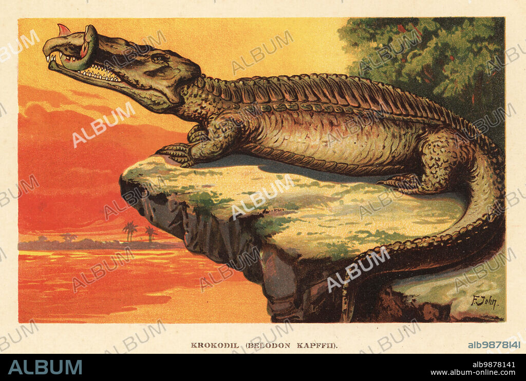 Extinct phytosaur, Nicrosaurus kapffi, of the Late Triassic. Krokodil, Belodon kapffii. It holds a a Ceratodus lungfish in its jaws. Colour printed illustration by F. John from Wilhelm Bolsches Tiere der Urwelt (Animals of the Prehistoric World), Reichardt Cocoa company, Hamburg, 1908.
