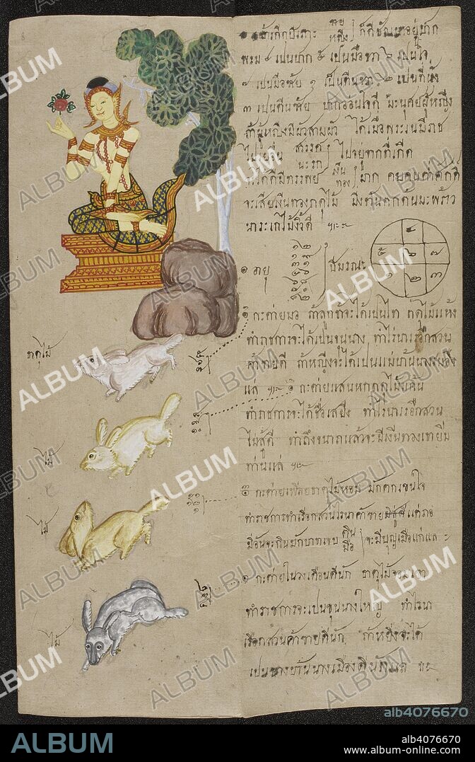 ANON. Animals of the zodiac with explanations and illustrations of lucky and unlucky omens. Phrommachat. 1885. Drawings based on the Chinese zodiac, which relates each lunar month to the animals of the 12-year-cycle and their reputed attributes (earth, wood, fire, iron, water) as well as a male or female avatar (yin-yang), a plant and a number diagram. Also includes descriptions of lucky and unlucky combinations of couples and how to use the match making method of the "entwined Naga". Explanation of the method of calculating the right directions for building a new house using the "rotating Naga", explanation of lucky and unlucky shpaes of land plots. Used as a manual for fortune telling and divination. Illustrations in water colour and ink. Physical Description Materials: Paper folding book (samut khoi). Dimensions: 340 mm x 110 mm. Source: Or. 3593 f.8. Language: Thai.