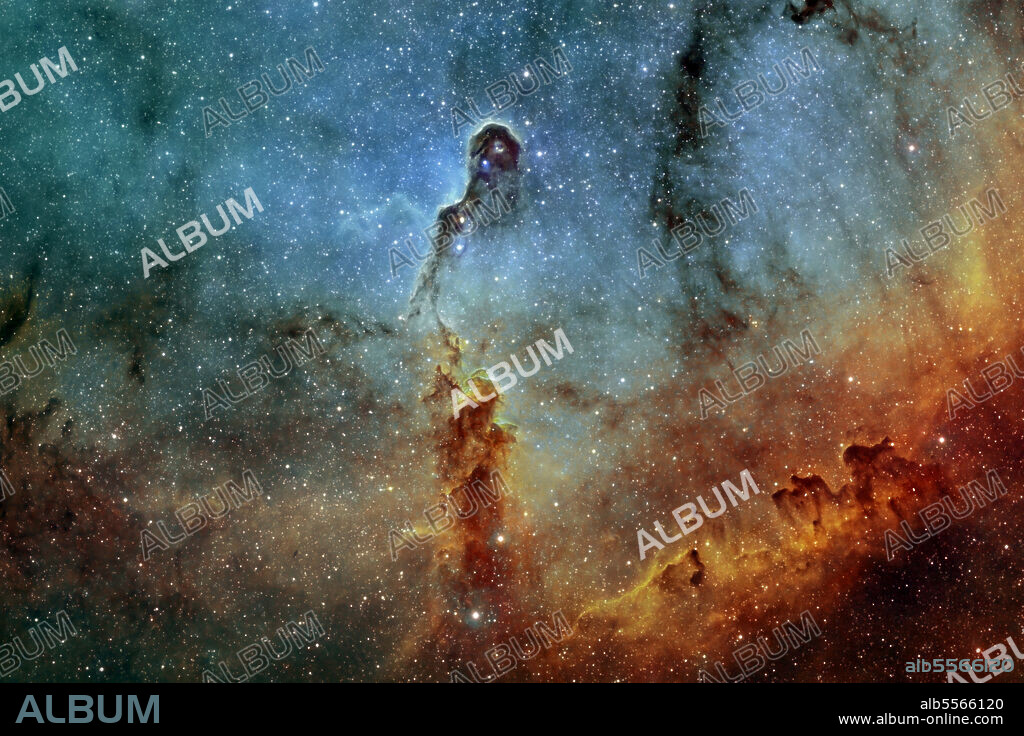 Close-up view of IC 1396, The Elephant Trunk Nebula, in Hubble-palette color mapping.