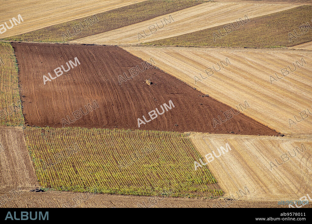 dryland fields, Gormaz, Soria, Autonomous Community of Castile, Spain, Europe.