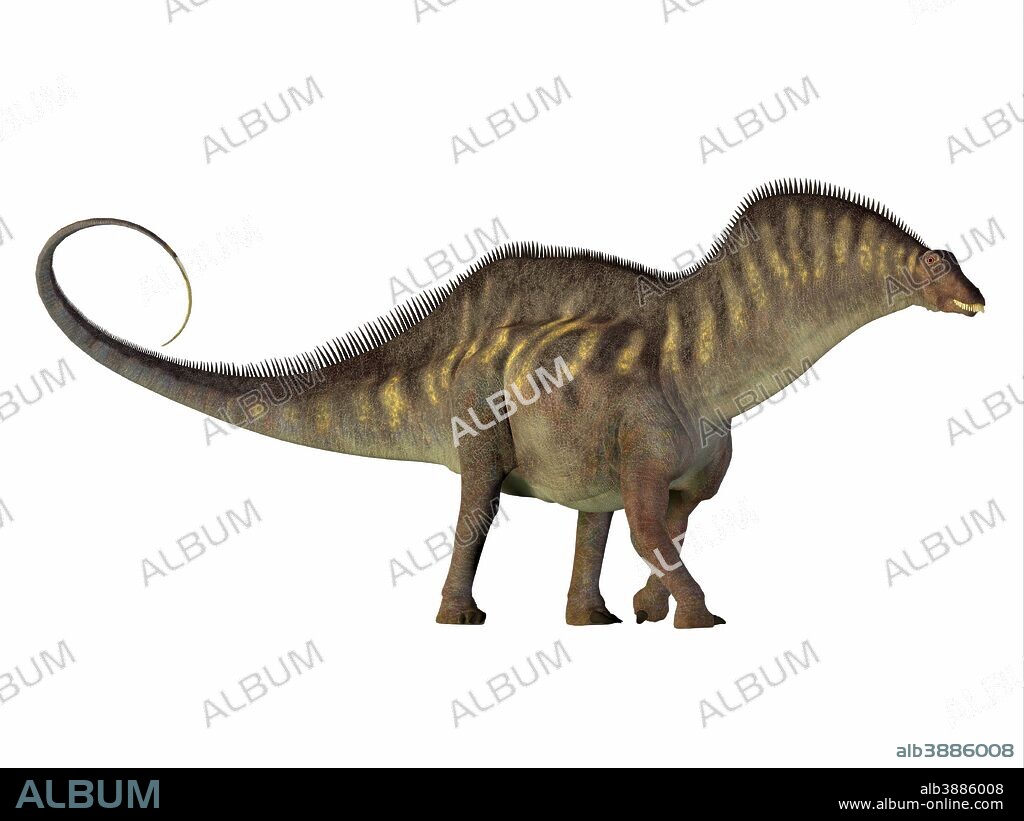 Amargasaurus dinosaur, side profile. Amargasaurus was a herbivorous sauropod dinosaur that lived in Argentina during the Cretaceous Period.