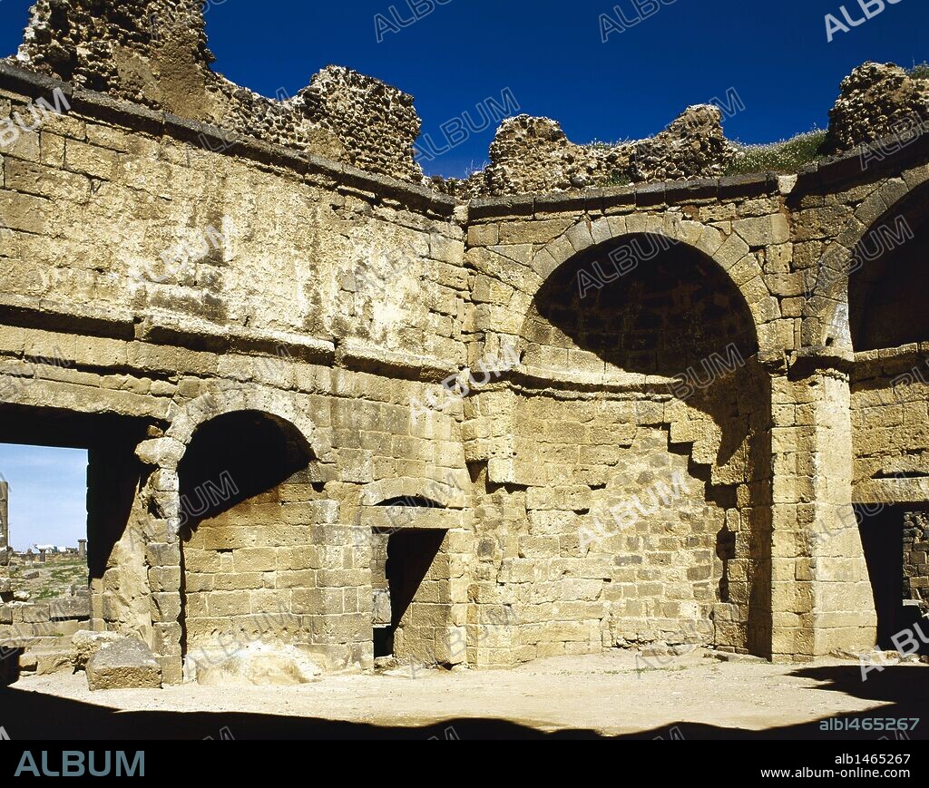 Islamic art. Syria. Bosra. Hammab Manshak. Old public baths. Mamluk era. 14th century. View. Ruins.