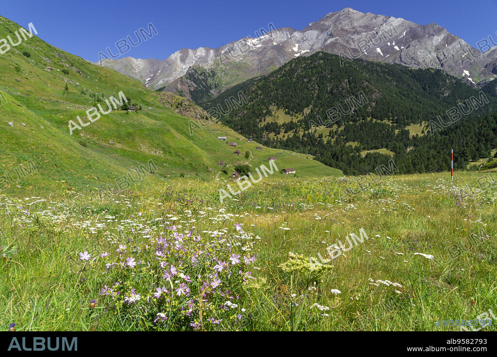 granjas de biadós y pico Posets, 3371 mts, Valle de Añes Cruces, parque natural Posets-Maladeta, Huesca, cordillera de los Pirineos, Spain.
