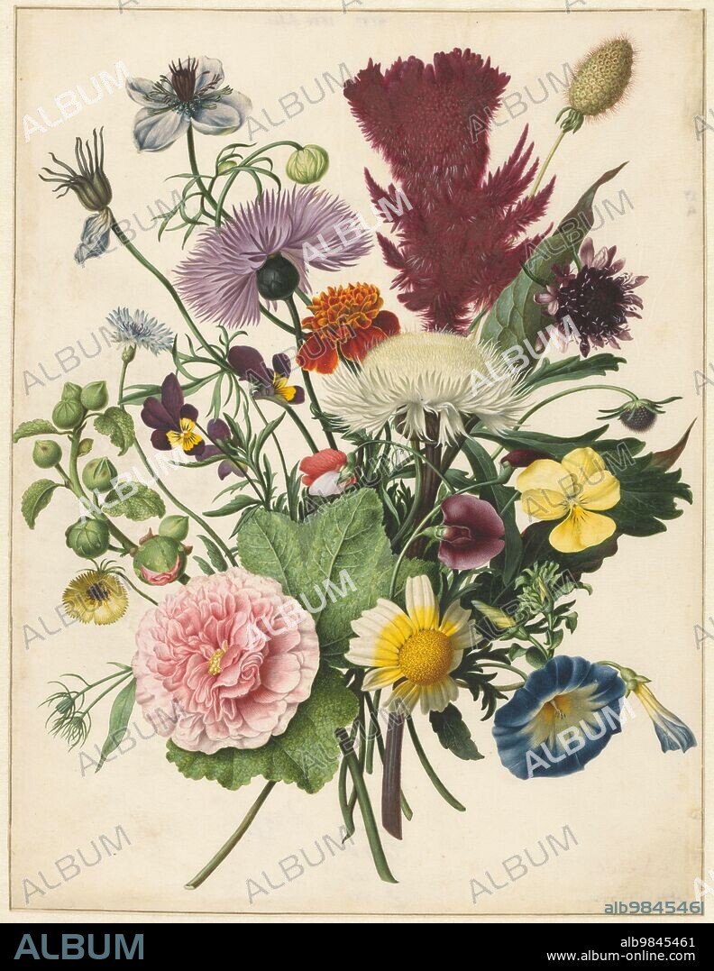 ANON. Bouquet of Flowers, 1680. This exquisitely rendered ensemble looks like a just picked field bouquet, but it combines flowers found in the wild, like the violet and the cornflower, with cultivated exotic species, like the red woolflower (Celosia) at the upper right. They do not all bloom at the same time. The blue and white morning glory blossoms in the spring, and the dark purple field scabious only from August.