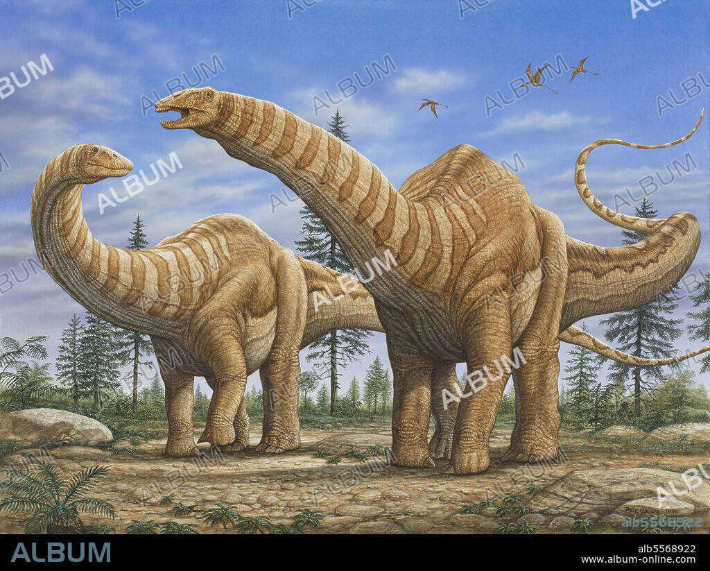 A pair of Apatosaurus dinosaurs.