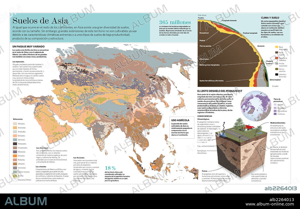 Suelos de Asia. Infografía de los distintos suelos presentes en el continente asiático.