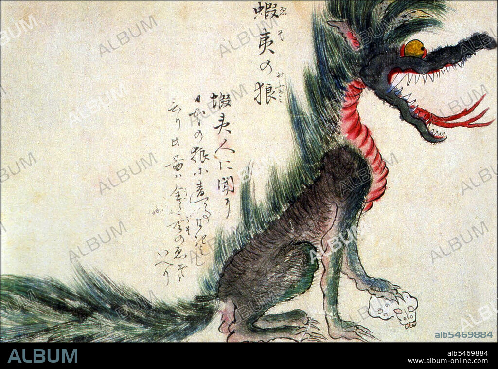 This illustration shows an Ezo Wolf (also known as a Hokkaido Wolf), which is believed to have gone extinct in the late 19th century, after this illustration was made. The animal is seen here with its paw on a human skull. The Kaikidan Ekotoba is a mid-19th century handscroll that profiles 33 legendary monsters and human oddities, mostly from the Kyushu region of Japan, but with several from other countries, including China, Russia and Korea. The document, whose author is unknown, is in the possession of the Fukuoka City Museum.