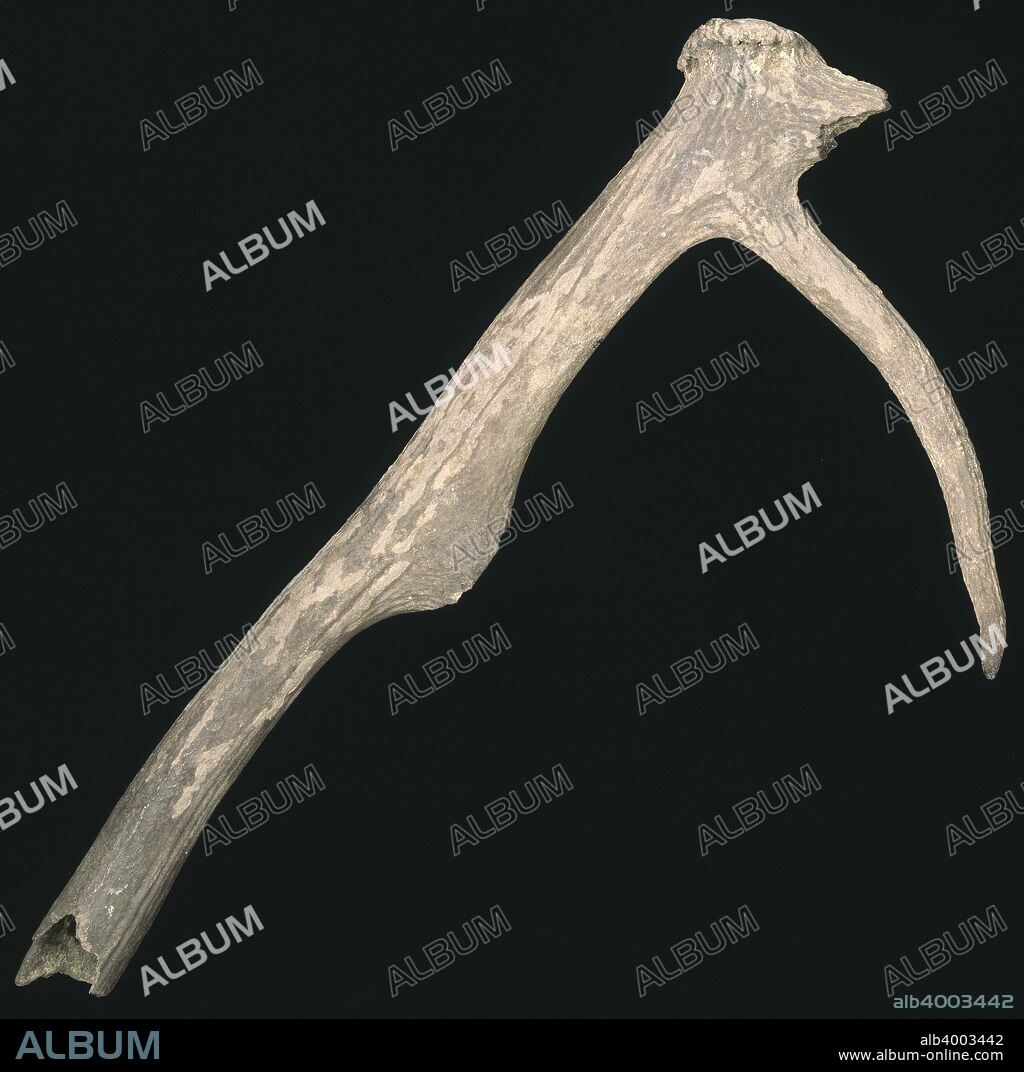 Prehistoric antler pick. Tools such as this one, found in the River Thames, were used to dig the ditches of settlements and ritual monuments.