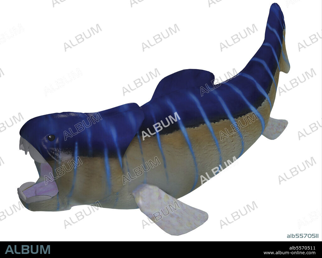 Prehistoric era Dunkleosteus fish. Dunkleosteus was a carnivorous predatory fish that lived in oceans of North America, Europe and Morocco during the Devonian Period.