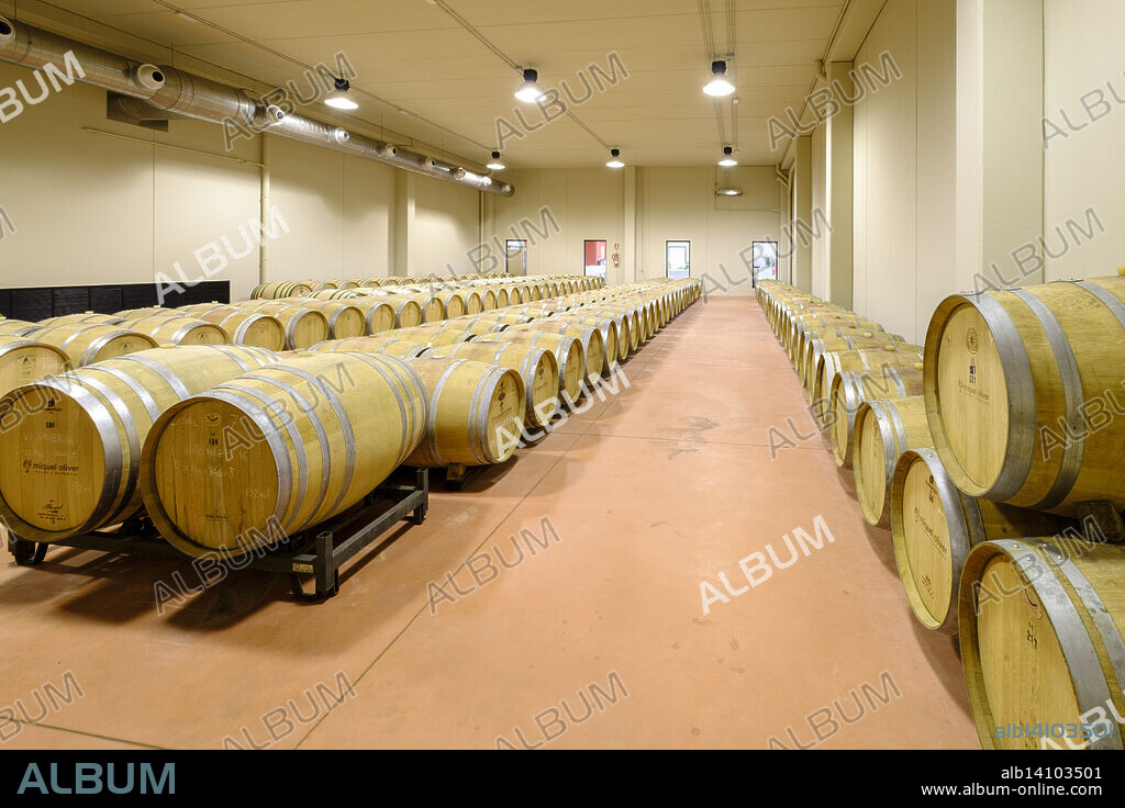 wine barrels, Miquel Oliver Wineries, Petra, Mallorca, Balearic Islands, Spain, Europe.