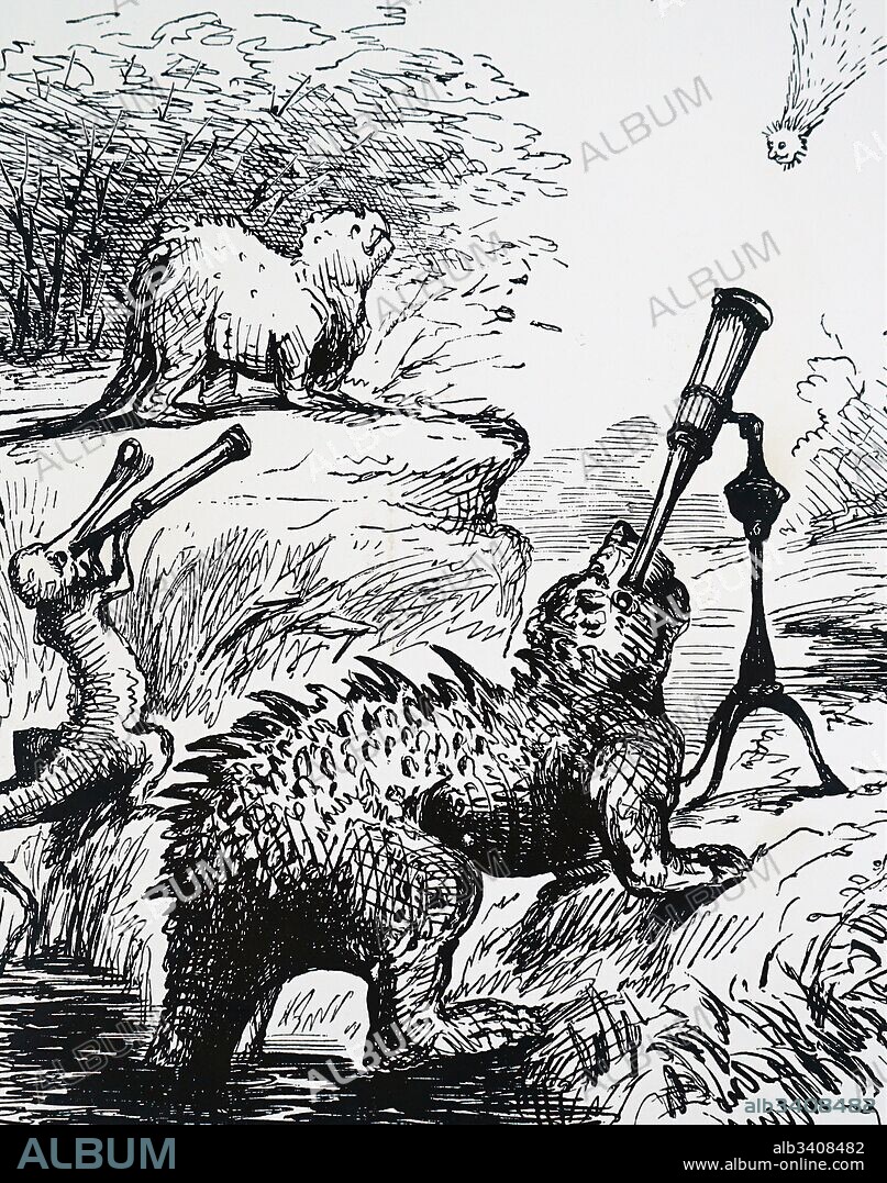 Cartoon depicting animals watch The Great Comet of 1861, discovered by John Tebbutt. John Tebbutt (1834-1916) an Australian astronomer. Dated 19th Century.