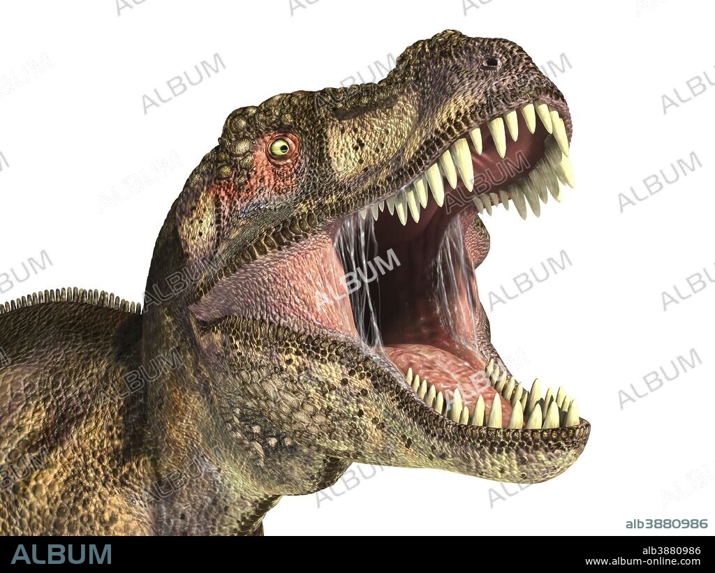 Close-up of Tyrannosaurus Rex dinosaur with mouth open.