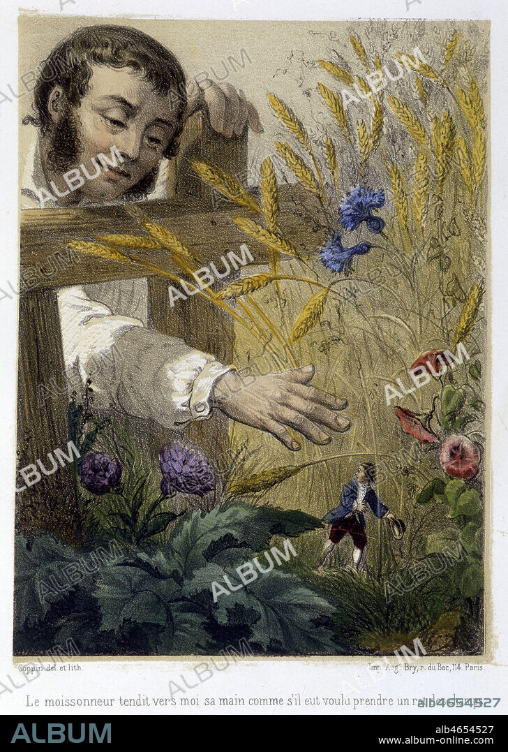 Les Voyages de Gulliver: 2eme partie Voyage a Brobdingnac . Le moissonneur tendit vers moi sa main comme s'il eut voulu prendre un rat des champs. Lithographie de COPPIN vers 1850 . Credit Collection Kharbine Tapabor.
