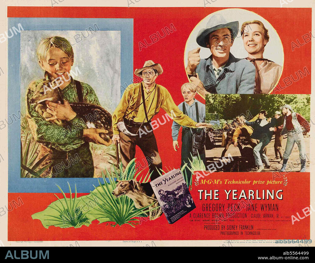GREGORY PECK en EL DESPERTAR, 1946 (THE YEARLING), dirigida por CLARENCE BROWN. Copyright M.G.M.