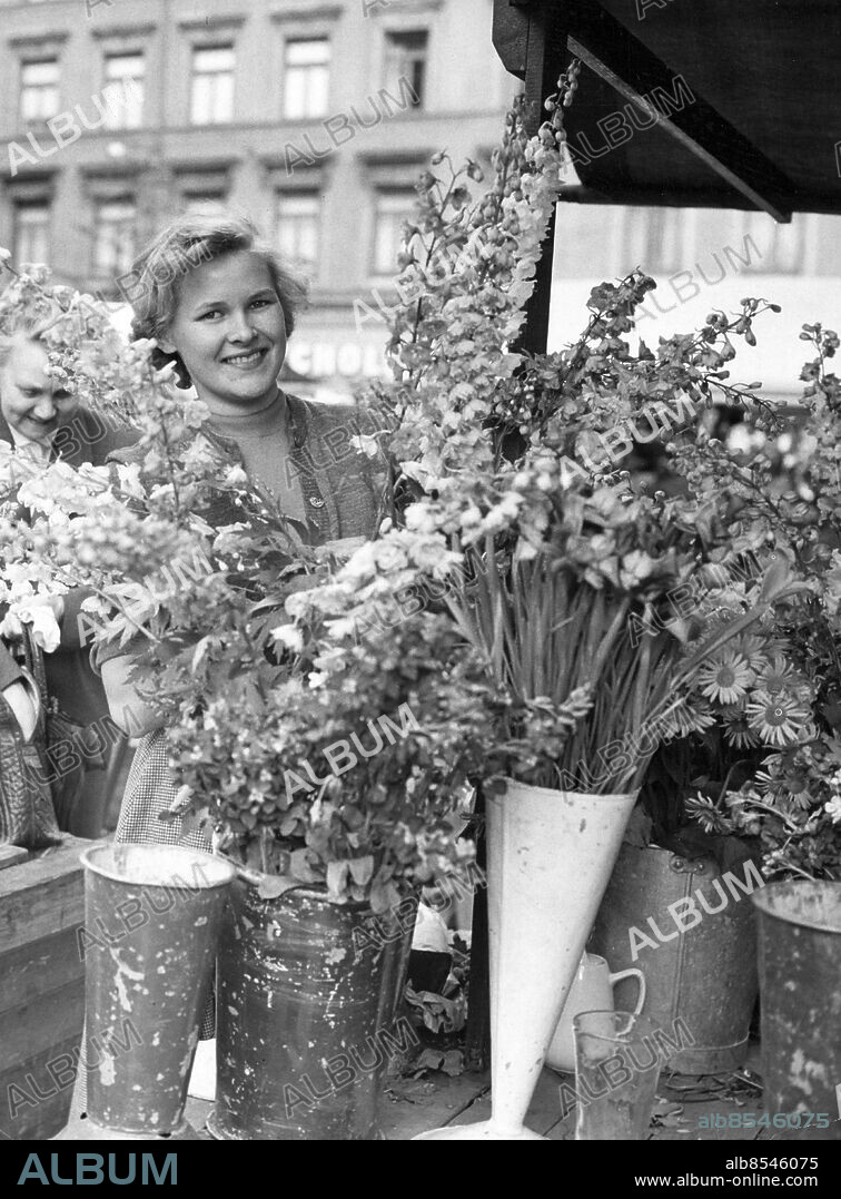 Stockholm 1954-05-29. Torghandel på Östermalmstorg. Carin Eriksson, Stäket, heter en söt ståndsperson av yngre årgång på Östermalmstorg, som sålde många Mors blommor på lördagen, här pysslar hon med årets första riddarsporrar, nästan lika långa som hon själv.. Foto: Carl-Erik Sundström / DN / TT / Kod: 59. ** SvD OUT **.