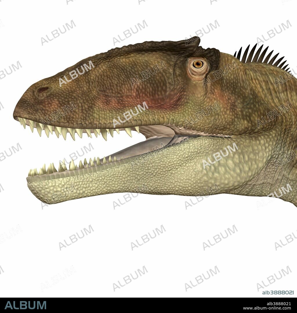 Carcharodontosaurus was a carnivorous theropod dinosaur that lived in Sahara, Africa during the Cretaceous Period.