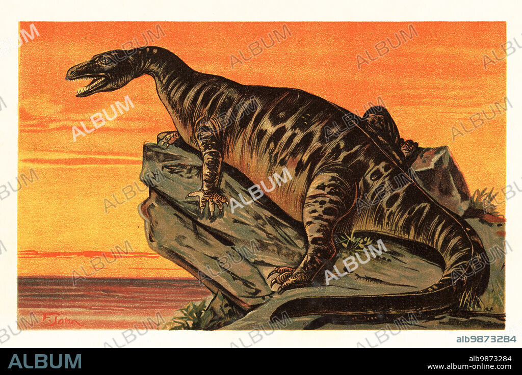 Iguanodon bernissartensis, extinct species of Iguanodontian dinosaur of the late Jurassic to early Cretaceous. Der grosse Iguanodon von Bernissart in Belgien (Iguanodon bernissartensis Boulenger). Colour printed illustration by F. John from Wilhelm Bolsches Tiere der Urwelt (Animals of the Prehistoric World), Reichardt Cocoa company, Hamburg, 1908.
