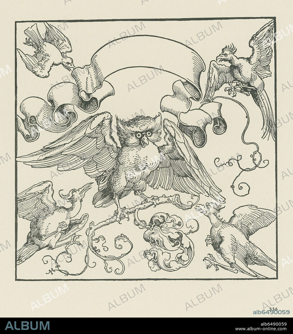ALBRECHT DüRER. An owl attacked by four other birds. Around 1515. 
Woodcut, 210 x 210mm.
