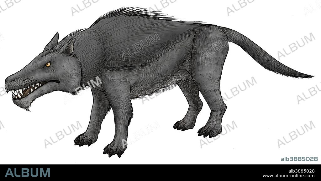 Andrewsarchus, an ungulate mammal from the Eocene epoch.