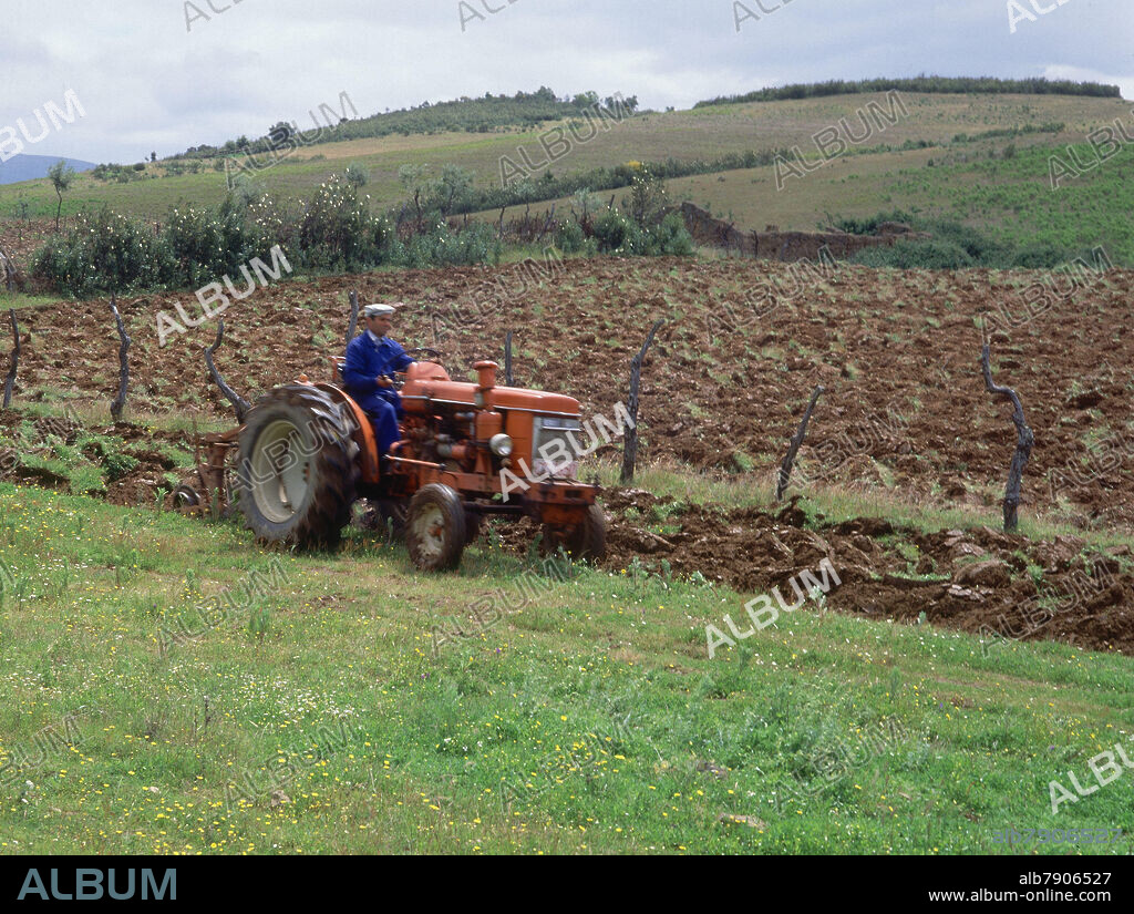 TRACTOR ARANDO CON DISCOS.