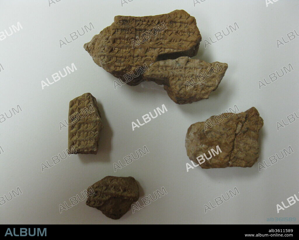Cuneiform tablet: Shumma izbu, tablet 5. Culture: Seleucid. Dimensions: 1 3/8 x 7/8 x 5/8 in. (3.5 x 2.1 x 1.5 cm) - 86.11.383b
1 1/4 x 1 5/8 x 1 in. (3.3 x 4.2 x 2.4 cm) - 86.11.383f
2 7/8 x 2 x 1 1/4 in. (7.2 x 5.1 x 3.2 cm) - 86.11.383g
1 1/8 x 1 1/8 x 1/2 in. (2.9 x 2.7 x 1.2 cm) - 86.11.383h. Date: ca. 4th-2nd century B.C..