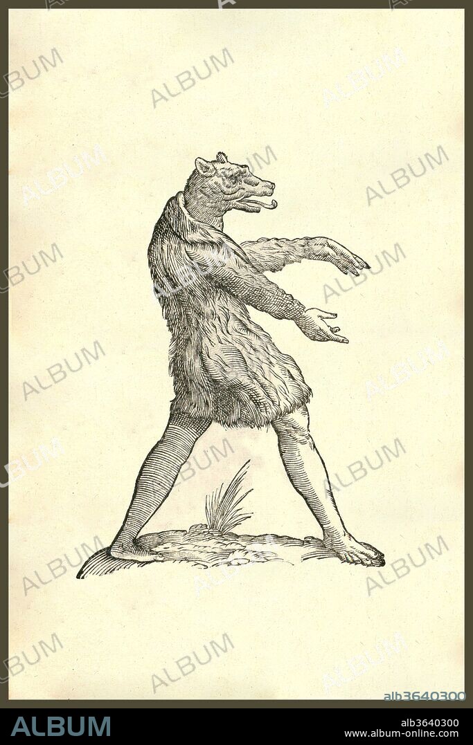 Woodcut, Cynocephali effigies, walking man with the head of a wolf, Aldrovandi, Historia Monstrorum, 1642, Renaissance, Ulisse Aldrovandi, 1642.