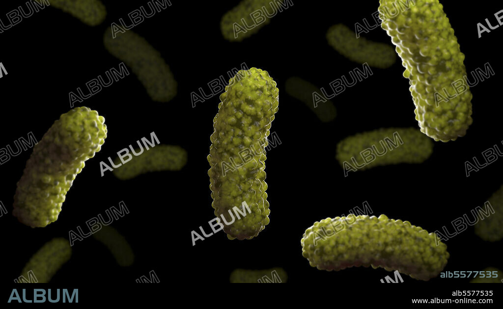Conceptual biomedical illustration of the bacteria Bordetella pertussis, on black background. Bordetella pertussis is a respiratory illness commonly known as whooping cough.