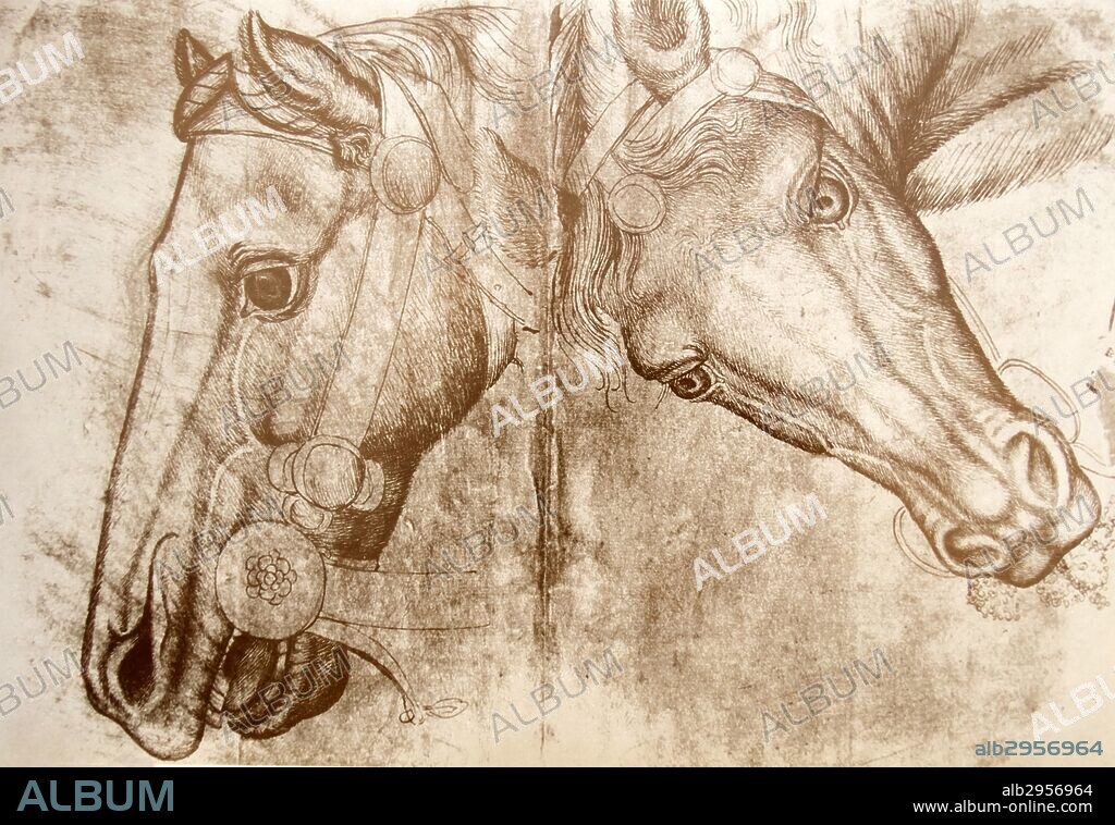 Sketch of a horses head possibly by Pisanello. An example of the modern technique of drawing. Dated 15th Century.