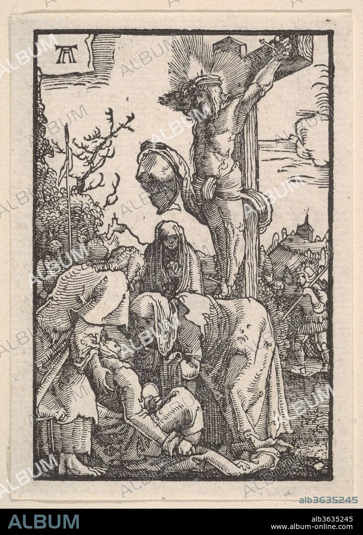 The Crucifixion, from The Fall and Salvation of Mankind Through the Life and Passion of Christ. Artist: Albrecht Altdorfer (German, Regensburg ca. 1480-1538 Regensburg). Dimensions: Sheet: 3 1/8 × 2 3/16 in. (7.9 × 5.5 cm). Date: ca. 1513.