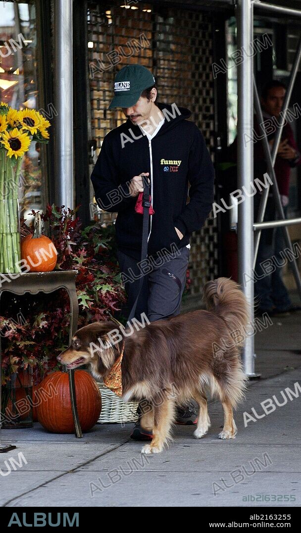 Oct. 15, 2013 - New York City, NY, USA - Justin Long walks Amanda Seyfried's dog Finn on October 15 2013 in New York City. 15/10/2013
