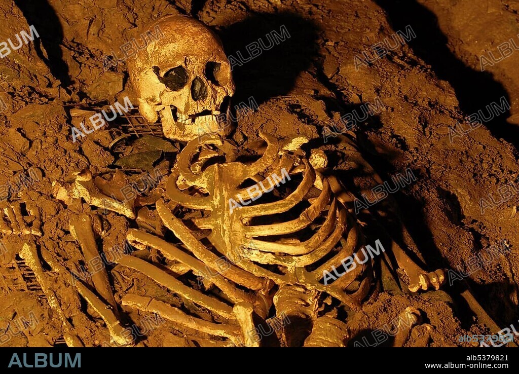 Skull and skeleton from the stone age, Cheddar Man Museum of Prehistory, Cheddar, Somerset, England, United Kingdom, Europe.