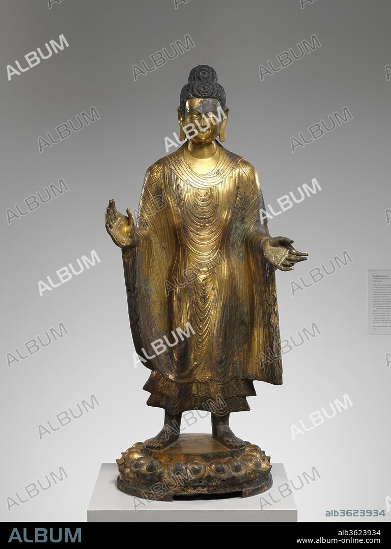 Buddha Maitreya (Mile fo). Culture: China. Dimensions: H. 55 1/4 in. (140.3 cm); W. 24 1/2 in. (62.2 cm); D. 19 1/4 in. (48.9 cm). Date: dated 486.
This is the largest early gilt-bronze Chinese sculpture known today. The Buddha's broad shoulders, powerful physique, and long legs derive from fifthcentury Indian prototypes that spread to China along the Silk Road, an example of which can be seen directly behind you in the gallery for Indian art. 
Maitreya is worshiped both as a bodhisattva and as a Buddha, for it is believed that once the currentcosmic era has destroyed itself, he will be reborn as the teaching Buddha of the next great era. The identification of this figure as the Buddha Maitreya is based on the dedicatory inscription at the back of the base, which dates the sculpture to 486 and states that it was commissioned in honor of the dowager empress Wenming (442-490), who controlled the Northern Wei dynasty during the last three decades of the fifth century.