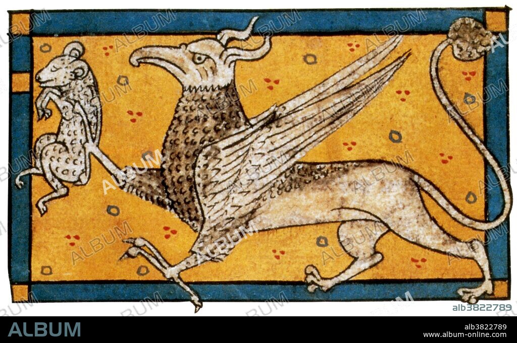 Griffin with prey appears in Bestiaire in Verse by Philippe de Thaon, 1285. The griffin is a legendary creature with the body, tail, and back legs of a lion; the head and wings of an eagle; and an eagle's talons as its front feet. As the lion was traditionally considered the king of the beasts and the eagle was the king of the birds, the griffin was thought of as king of the creatures. A bestiary, or Bestiarum vocabulum is a compendium of beasts. Originating in the Ancient world, bestiaries were made popular in the Middle Ages in illustrated volumes that described various animals, birds and even rocks. The natural history and illustration of each beast was usually accompanied by a moral lesson. This reflected the belief that the world itself was the Word of God, and that every living thing had its own special meaning.