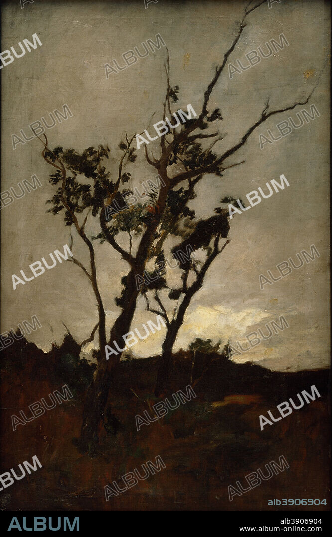 PETRUS VAN DER VELDEN. Tree study. Date/Period: Between 1893 and 1898. Painting. Oil on canvas. Height: 870 mm (34.25 in); Width: 558 mm (21.96 in).