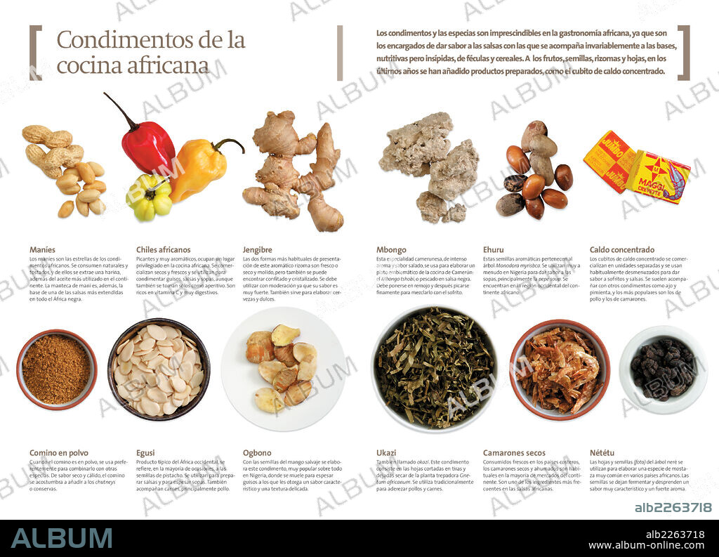 Condimentos de la cocina africana. Infografía de los principales condimentos y especias que se usan en los platos africanos.