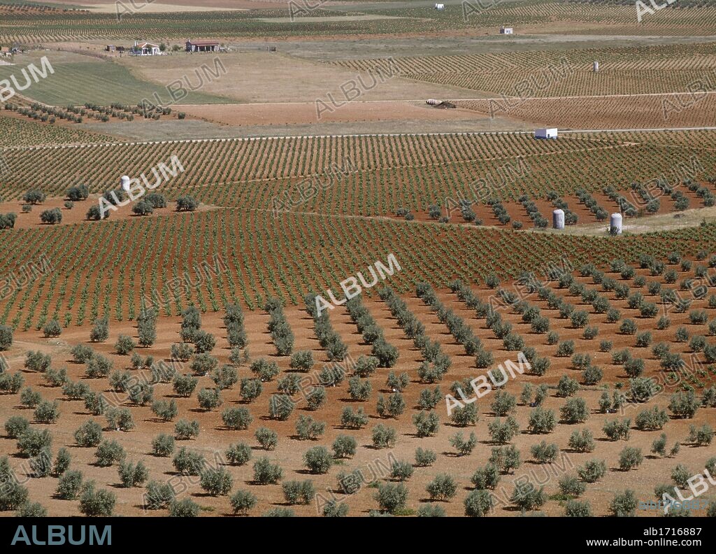 Panorámica del PAISAJE AGRICOLA en los alrededores de la localidad de Valdepeñas. Provincia de Ciudad Real. Castilla-La Mancha. España.
