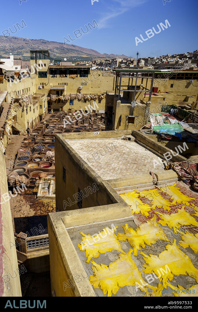 Chouara tannery, Fez, morocco, africa.