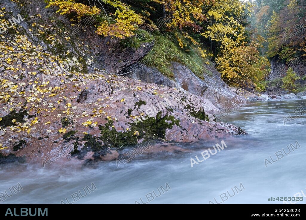 Aragón Subordán river, Selva de Oza, Valley of Hecho, western valleys, Pyrenean mountain range, province of Huesca, Aragon, Spain, europe.