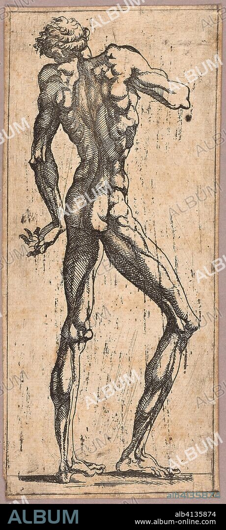 Man Turning His Head to the Left. Juste de Juste; French, 1505-1559. Date: 1538-1548. Dimensions: 196 × 84 mm (image/plate); 199 × 87 mm (sheet). Etching in black on cream laid paper. Origin: France.