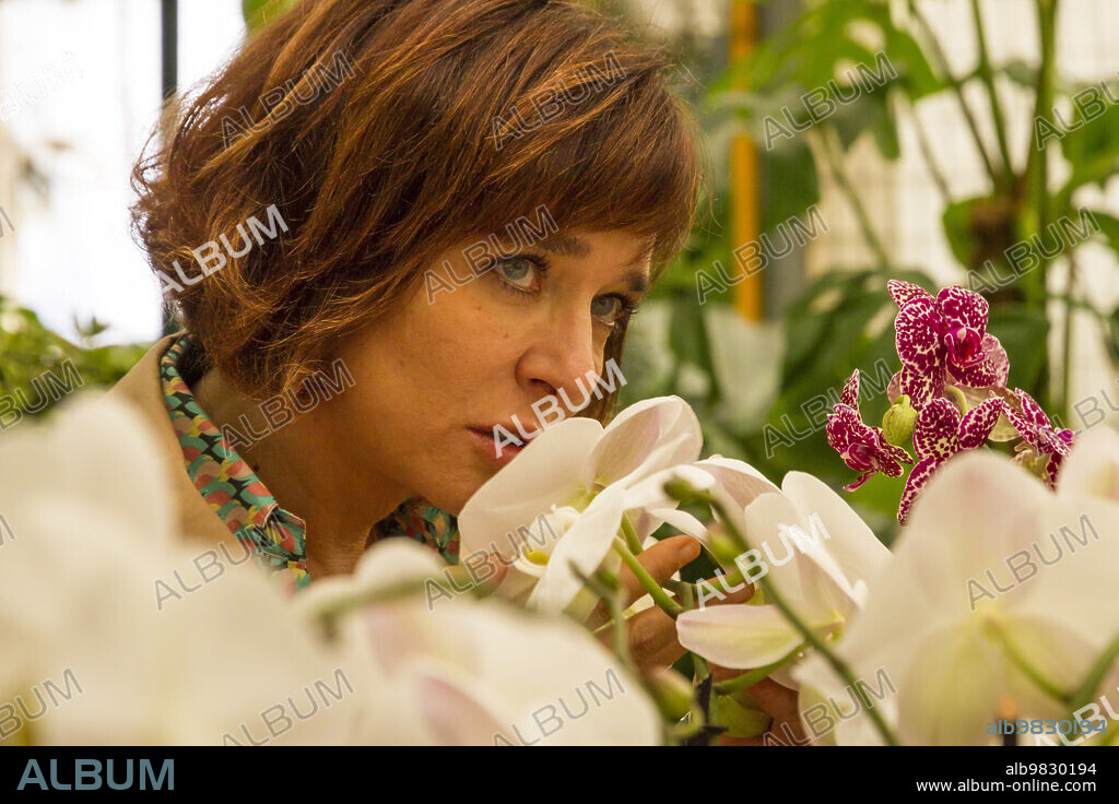 VALERIA GOLINO in IL COLORE NASCOSTO DELLE COSE, 2017, directed by SILVIO SOLDINI. Copyright Lumière, Company / RAI / Ventura Film.