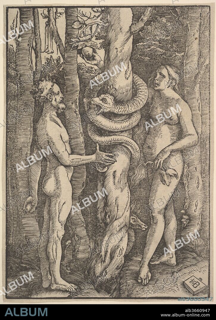 Adam and Eve. Artist: Hans Baldung (called Hans Baldung Grien) (German, Schwäbisch Gmünd (?) 1484/85-1545 Strasbourg (Strassburg)). Dimensions: Block: 8 11/16 × 6 1/16 in. (22.1 × 15.4 cm)
Sheet: 8 13/16 × 6 1/4 in. (22.4 × 15.9 cm). Date: 1514.