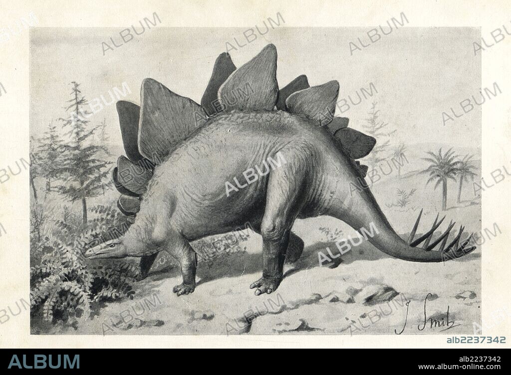 Stegosaurus ungulatus, dubious species perhaps Stegosaurus armatus, Jurassic era, North America. Illustration by J. Smit from H. N. Hutchinson's "Extinct Monsters and Creatures of Other Days," Chapman and Hall, London, 1894.